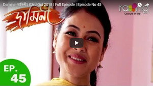 Damini