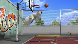 Basketball