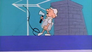 Magoo's Roof Goof