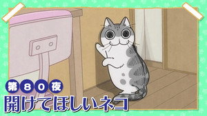 Night 80: The Cat Who Wants the Door Opened
