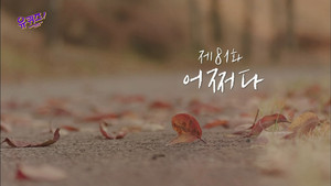 Episode 81