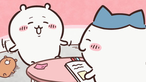 Study Session / Re-examination