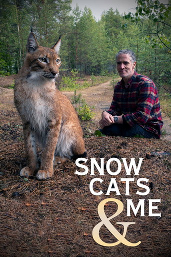 Miniseries