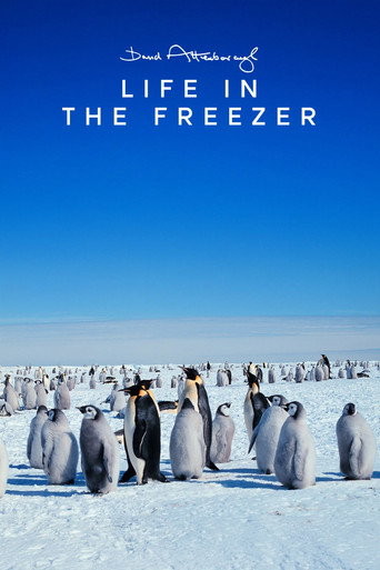 Miniseries