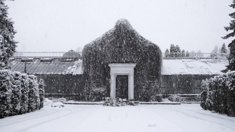 The Winter Garden’s Tale