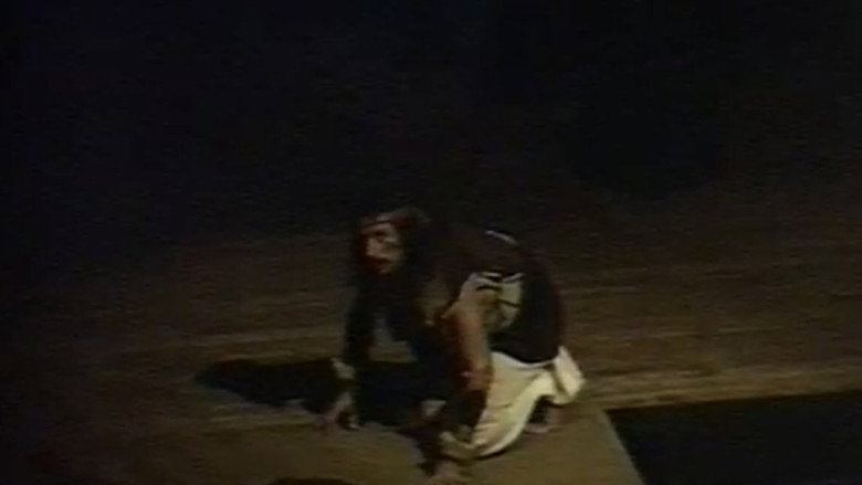 Scene 4