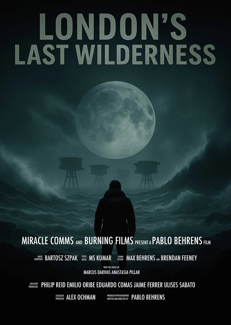 Poster 1