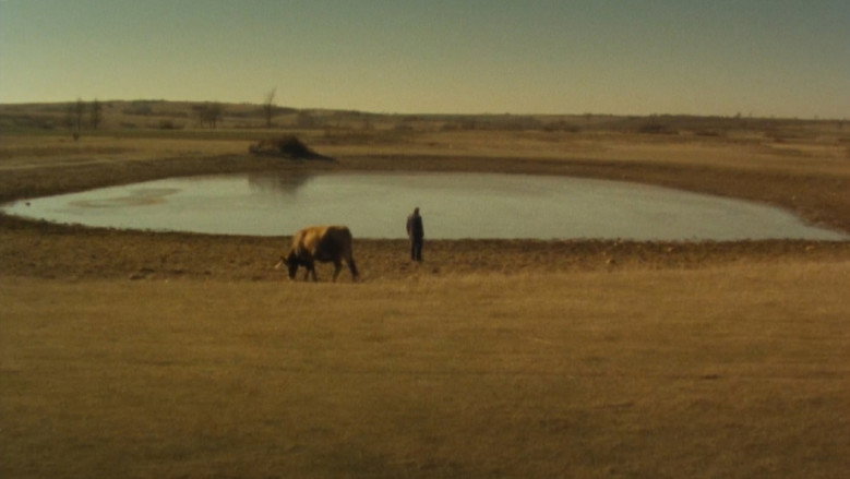 Scene 4