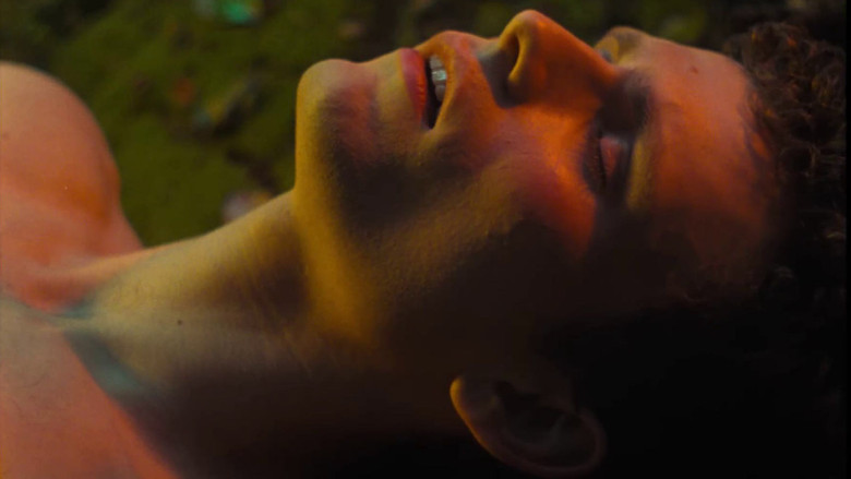 Scene 5