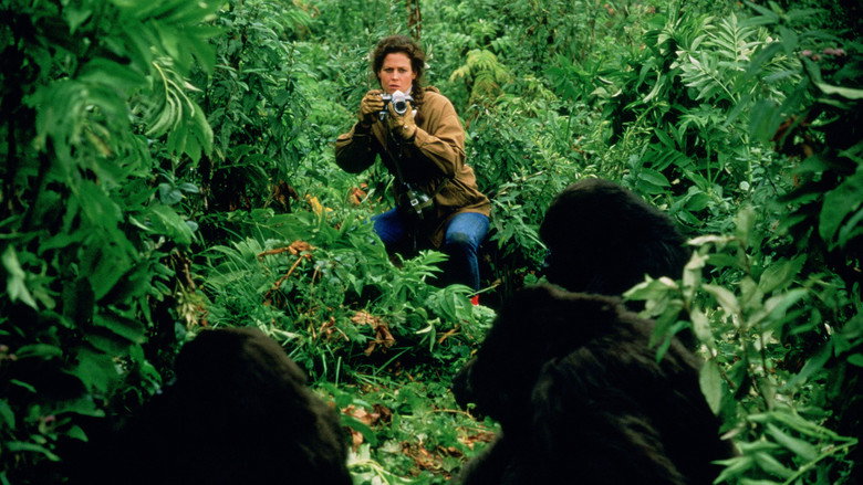 Scene 5