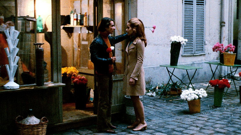 Scene 3