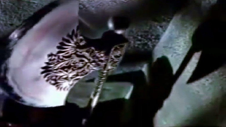 Scene 4