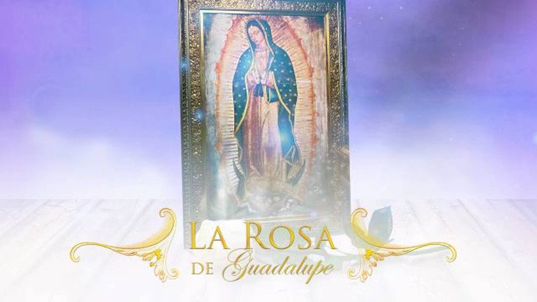 La Rosa De Guadalupe backdrop