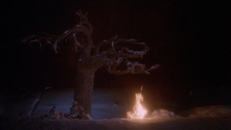 Scene 4