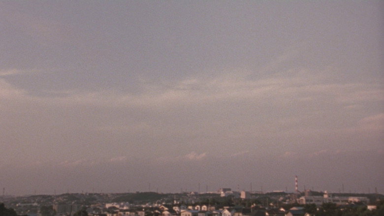 Scene 5