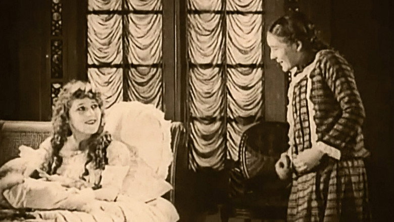 Scene 5