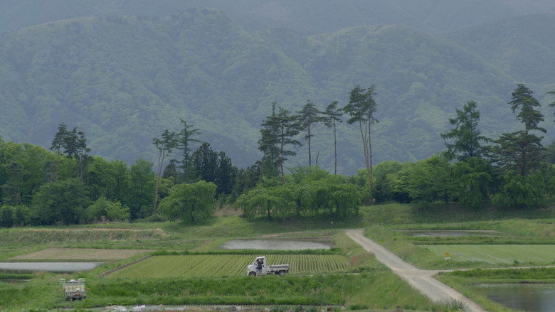 Scene 5