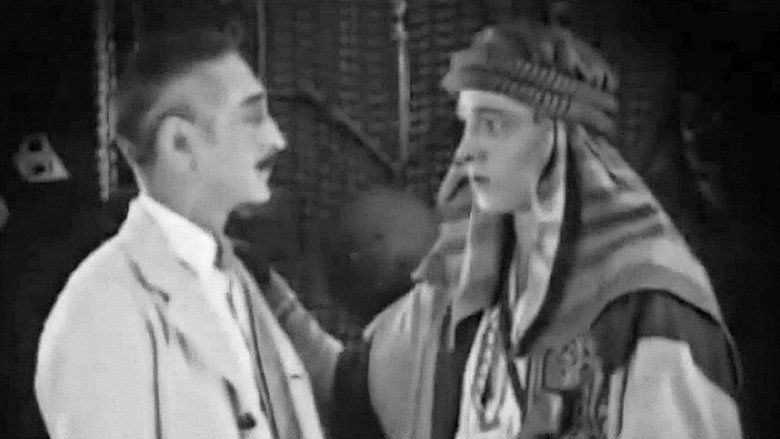 Scene 3
