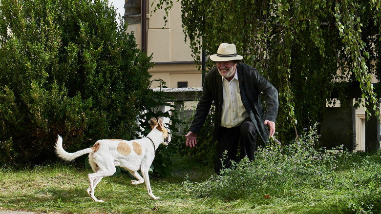 Scene 3
