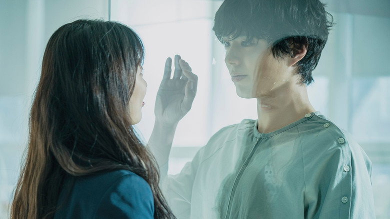 Scene 5