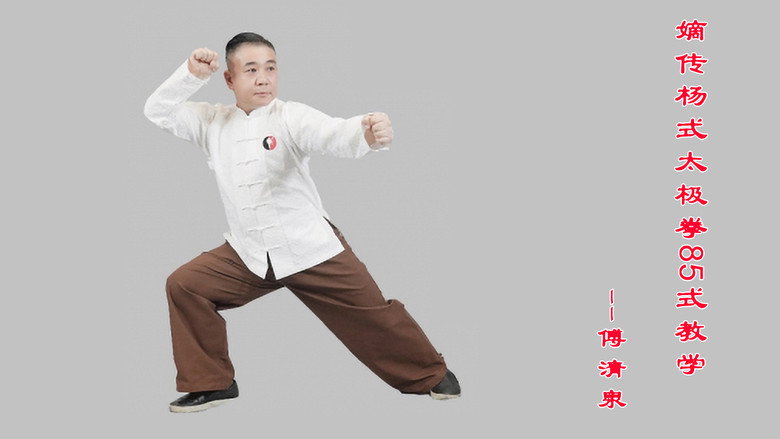 嫡传杨式太极拳 backdrop