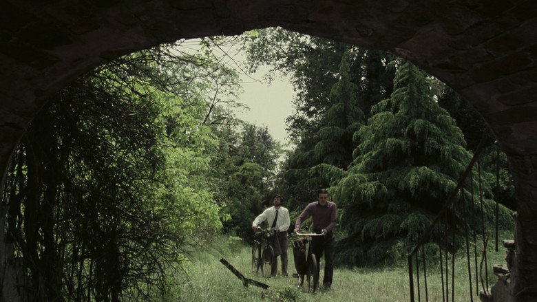 Scene 5