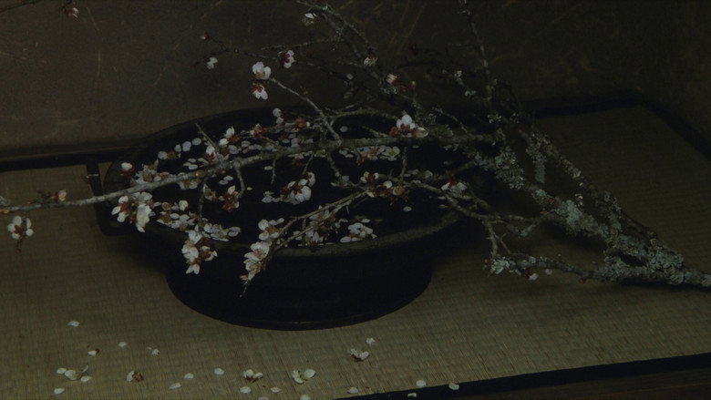 Scene 5