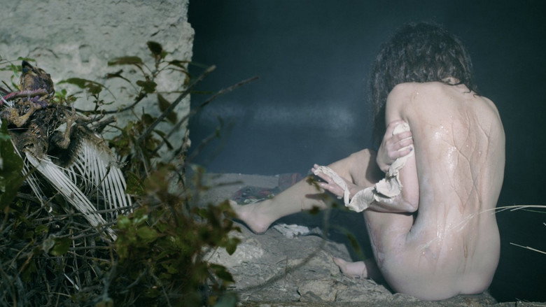 Scene 5