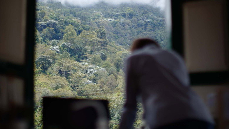 Scene 4