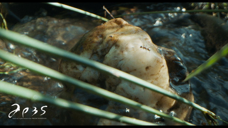 Scene 3