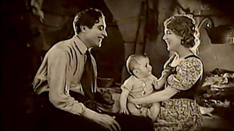 Scene 5