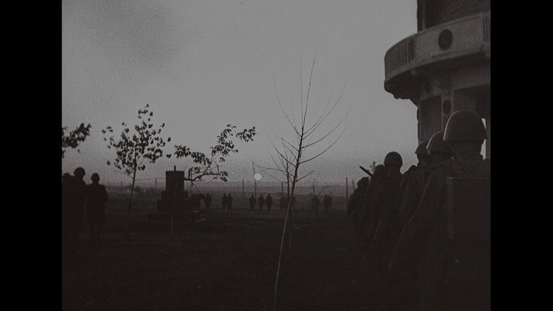 Scene 5