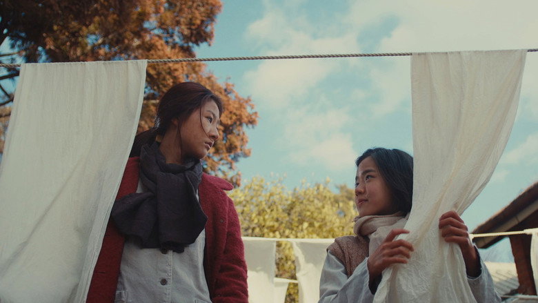 Scene 5