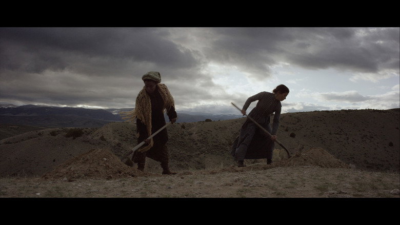 Scene 4