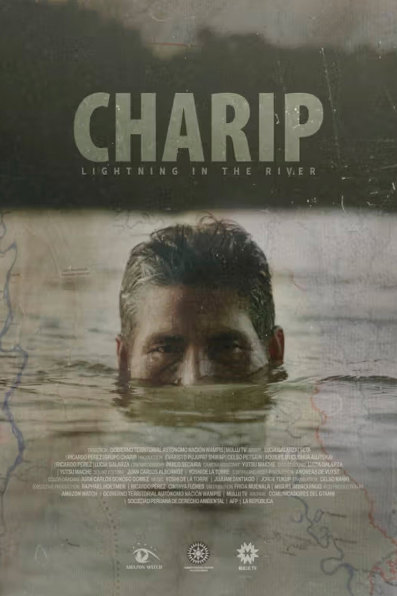Poster 1