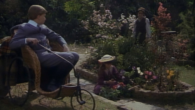 Scene 3