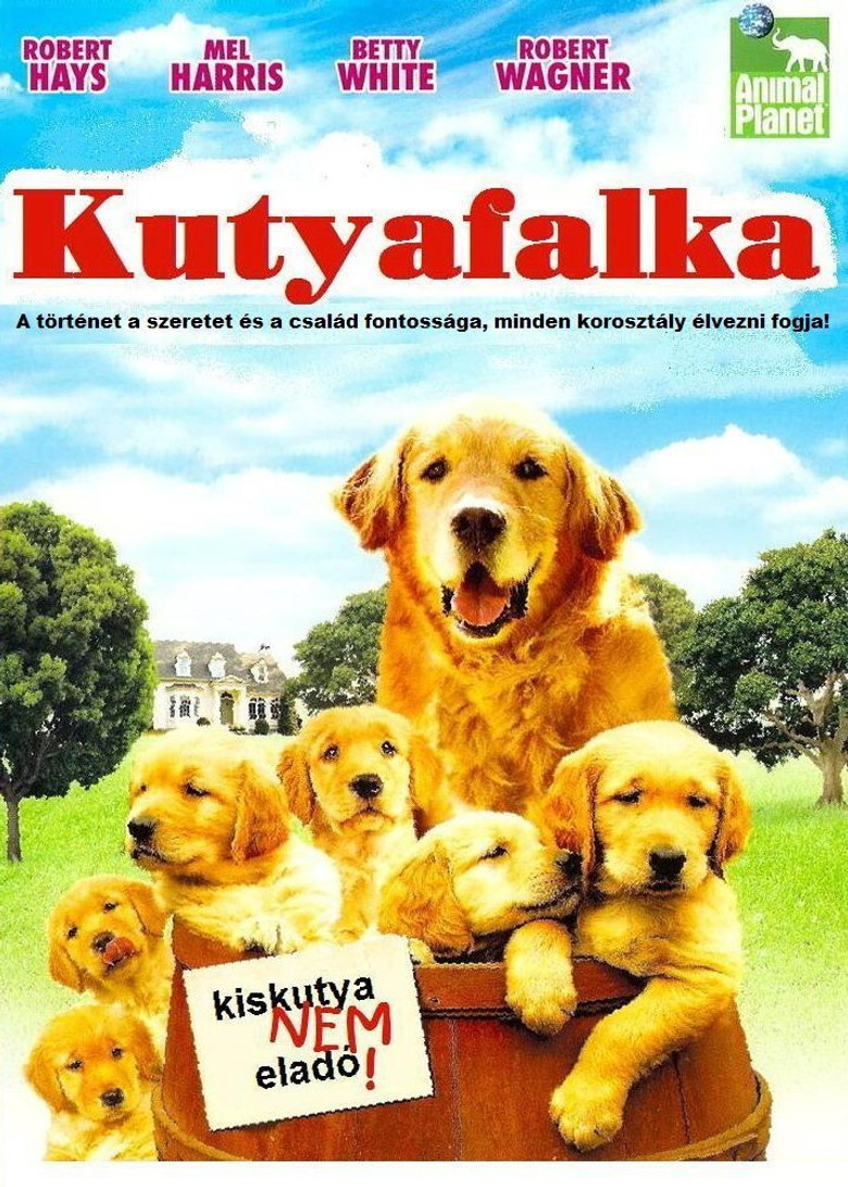 Poster 4