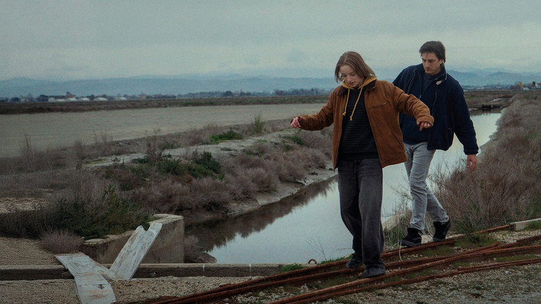 Scene 3