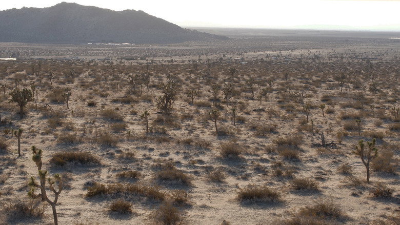 Scene 2