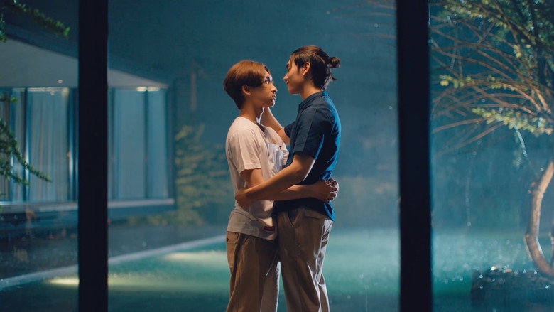 Scene 5