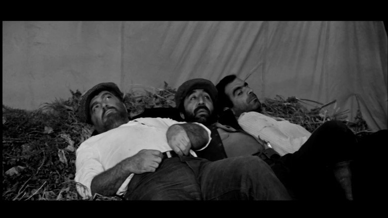 Scene 4