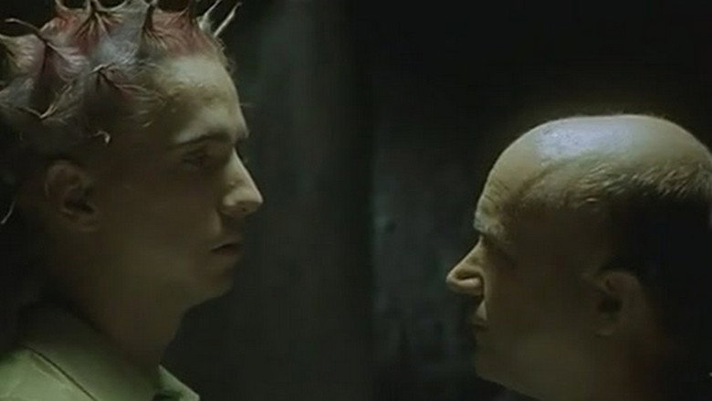Scene 4