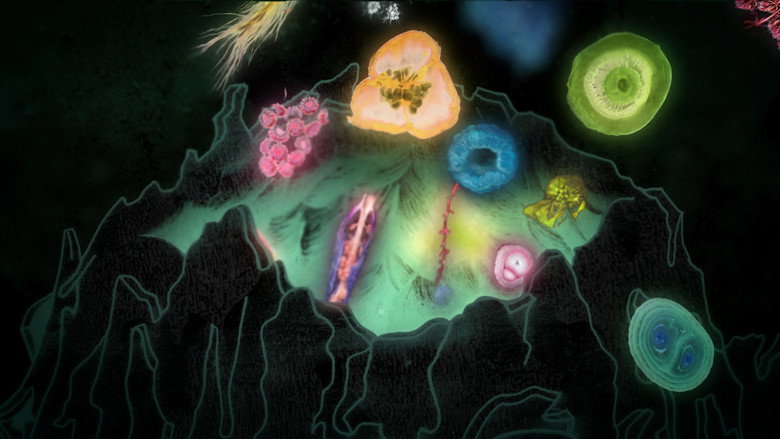 Protozoa backdrop