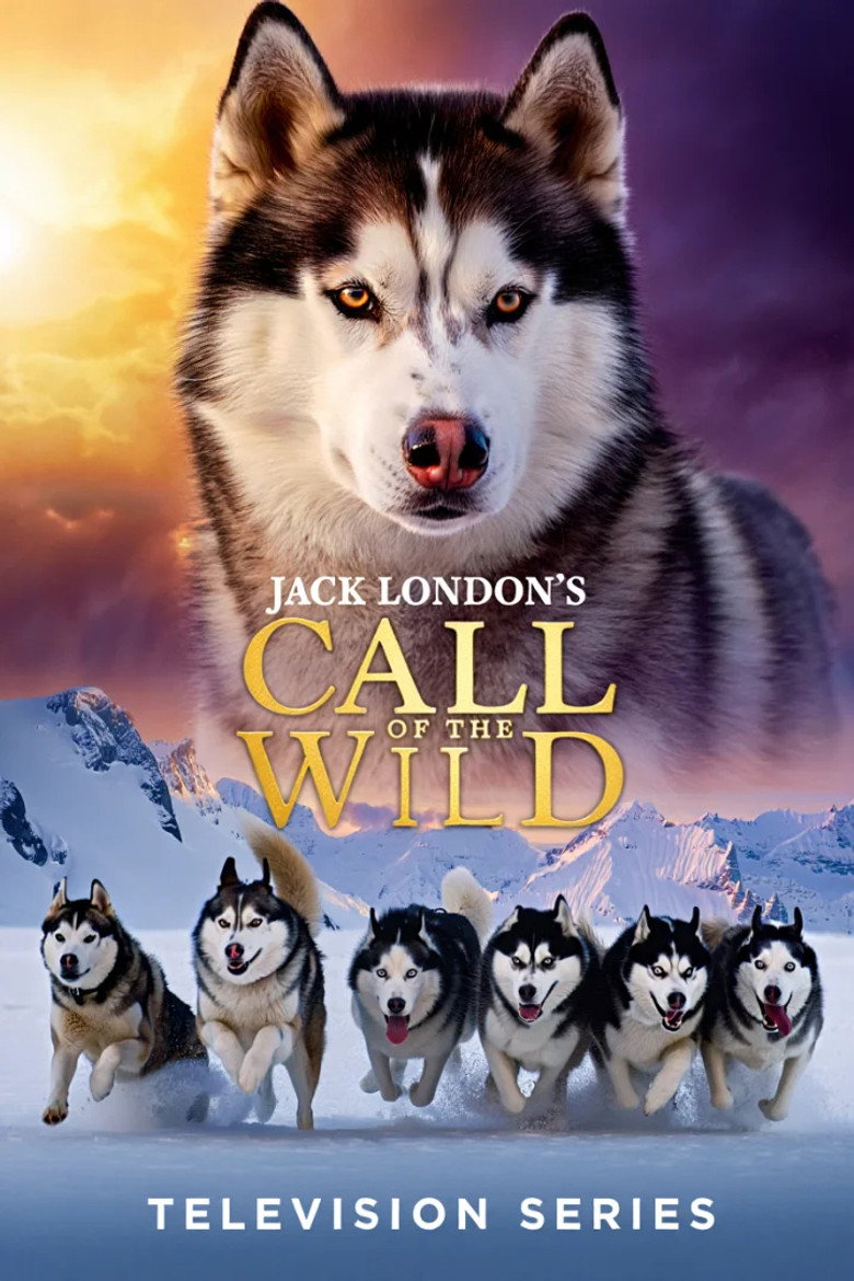 Poster 4