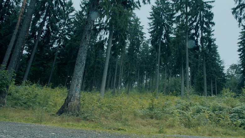 Scene 4