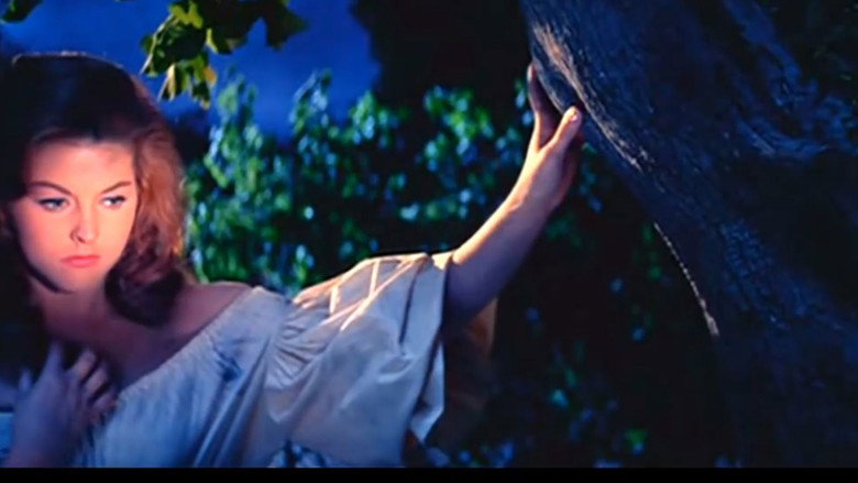 Scene 5