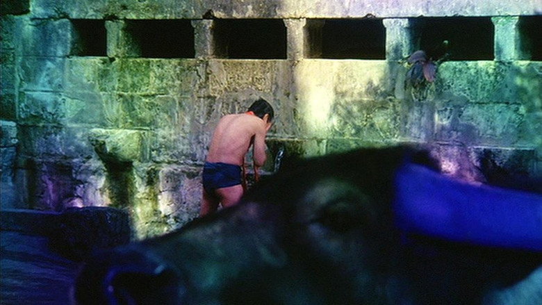 Scene 4