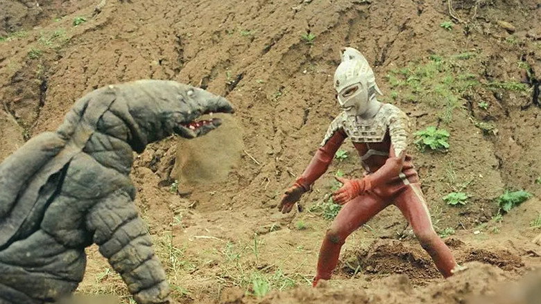 Scene 5