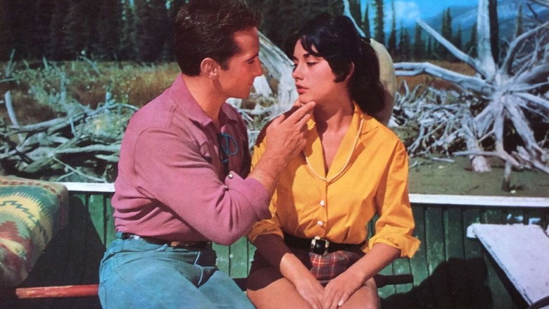 Scene 3