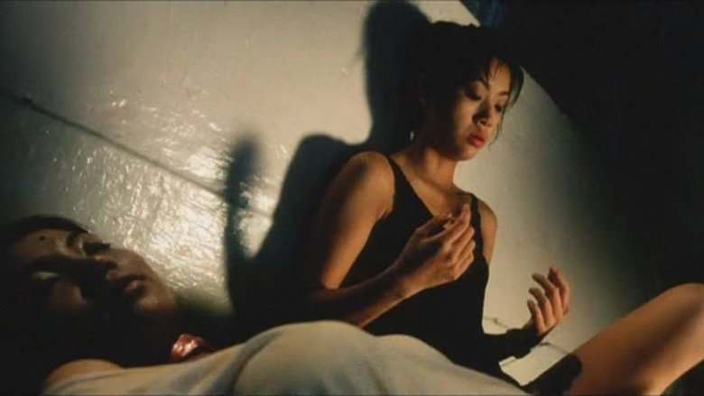 Scene 3